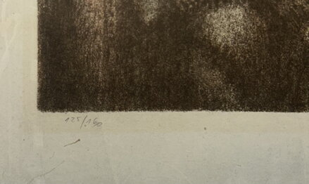 LABUTÍ PÍRKO - HALLA JAN