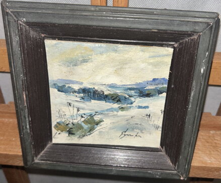 ZIMA NA VYSOČINĚ - ŠTURC JAN