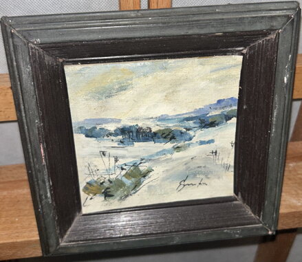 ZIMA NA VYSOČINĚ - ŠTURC JAN