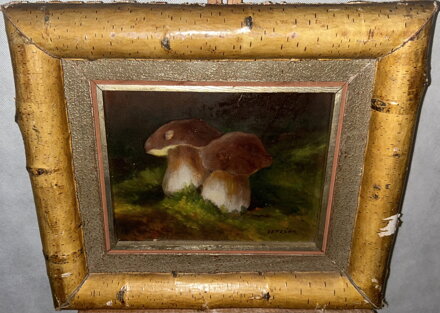 DVA HŘÍBKY V MECHU - LEPEŠKA VOJTĚCH