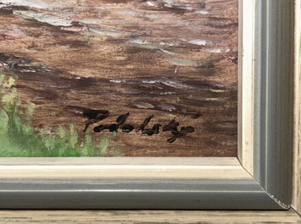 KAMENNÝ SPLAV - PODOLSKÝ