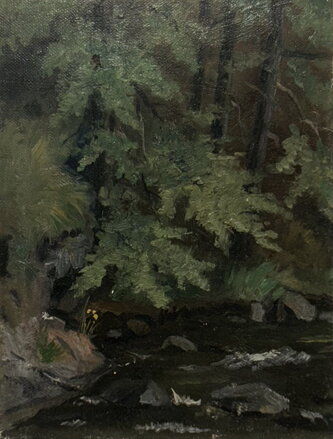 TŮŇ V LESE - SKÁLA KAREL VÁCLAV