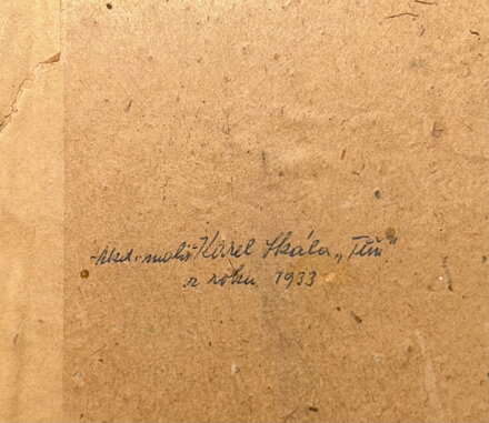 TŮŇ V LESE - SKÁLA KAREL VÁCLAV