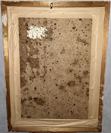 BAREVNÁ KYTICE - LUKÁŠEK ALOIS