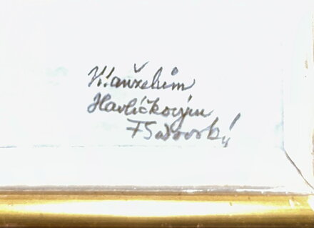 PAMPELIŠKY VE VÁZE - SADOVSKÝ FRANTIŠEK