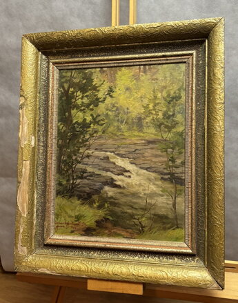 ŘÍČKA V LESE - ADÁMEK FERDINAND