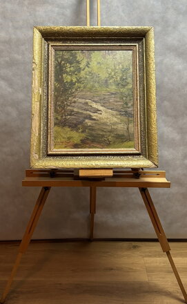 ŘÍČKA V LESE - ADÁMEK FERDINAND