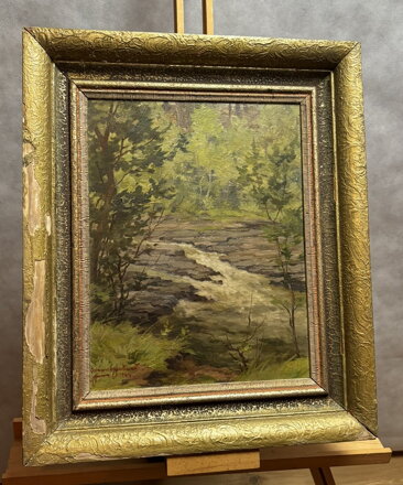 ŘÍČKA V LESE - ADÁMEK FERDINAND