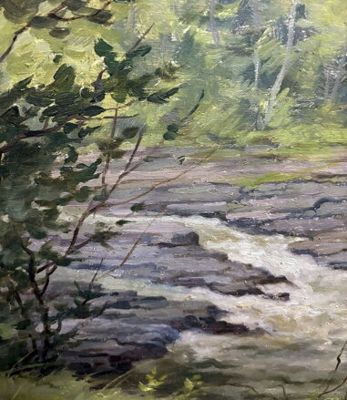 ŘÍČKA V LESE - ADÁMEK FERDINAND