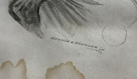 KDE JE SLÁDEK - ALEŠ MIKOLÁŠ