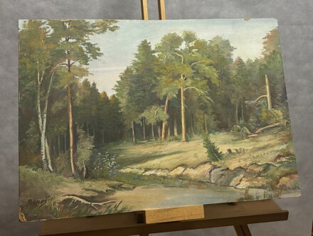 POTOK U LESA - BENEŠ