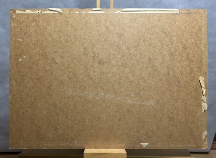 POTOK U LESA - BENEŠ