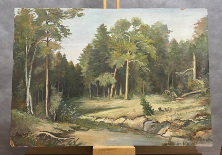 POTOK U LESA - BENEŠ