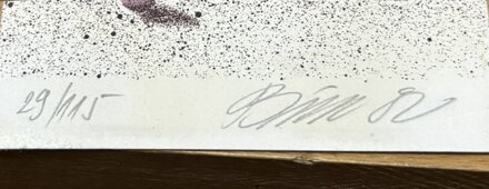 PLOT NA KURTU - BÍM TOMÁŠ