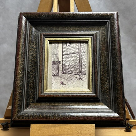 PLOT NA KURTU - BÍM TOMÁŠ