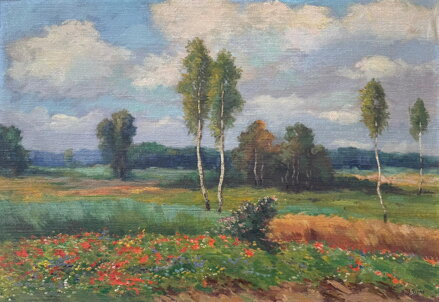 BŘEZOVÝ HÁJEČEK S MAKOVÝM POLEM - BINO JOSEF