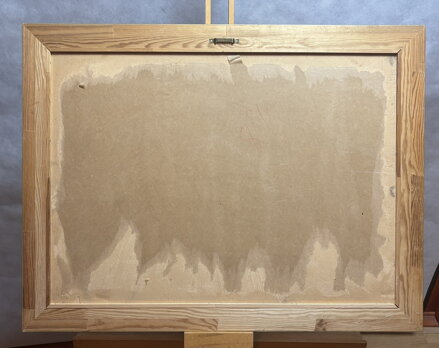 ZIMA NA VESNICI - BINO JOSEF