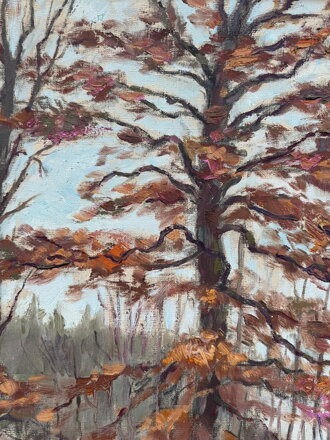 PODZIM U RYBNÍKA - BOHMAN HANUŠ