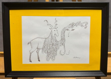 DIVOKÁ KOZA - BORN ADOLF