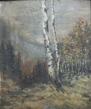 BŘÍZA VE STRÁNI - SIGNOVÁN