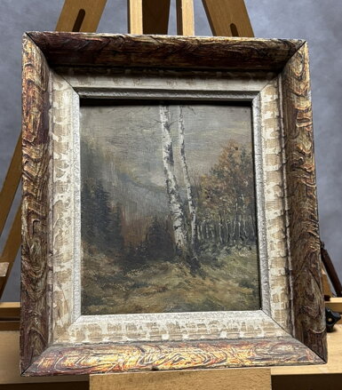 BŘÍZA VE STRÁNI - SIGNOVÁN