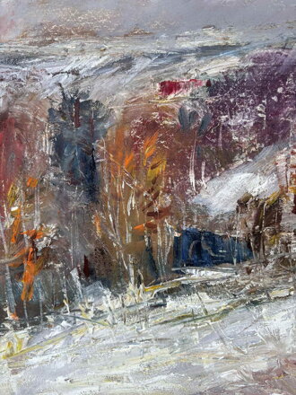 EXPRESIVNÍ ZIMNÍ KRAJINA VYSOČINY - BUČIL JIŘÍ