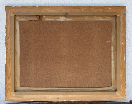 EXPRESIVNÍ ZIMNÍ KRAJINA VYSOČINY - BUČIL JIŘÍ