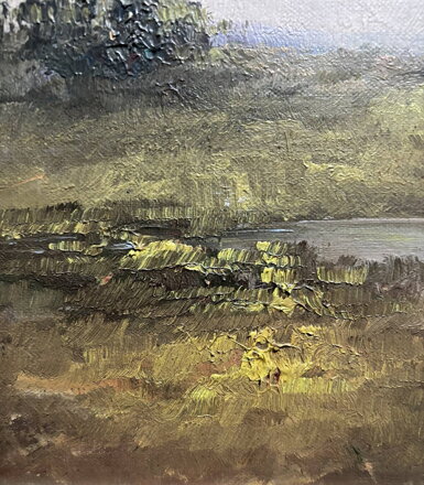 JEZÍRKO V KRAJINĚ - BULÁNEK FRANTIŠEK