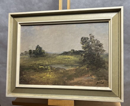 JEZÍRKO V KRAJINĚ - BULÁNEK FRANTIŠEK