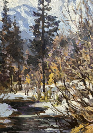 BELANSKÉ TATRY ŽDIARSKÁ VIDLA POHLAD ZO ŽDIARU - ČAPLOVIČ PAVOL PAVEL