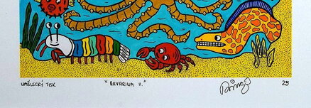 AKVÁRIUM II. - ČECH RINGO FRANTIŠEK