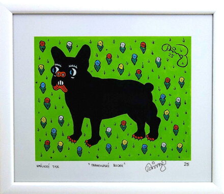 FRANCOUZSKÝ BULDOK - ČECH RINGO FRANTIŠEK