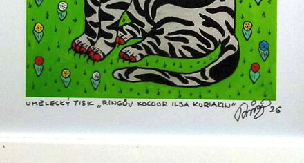 RINGŮV KOCOUR ILJA KURIAKIN - ČECH RINGO FRANTIŠEK