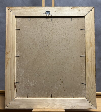 SLUNCEM ZALITÁ ULIČKA - ČERMÁK