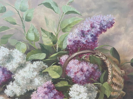 ŠEŘÍKY V KOŠÍKU - FALTUS RUDOLF