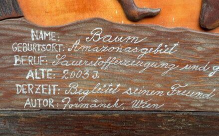 PUSTINY S OHNICÍ - FORMÁNEK KAREL