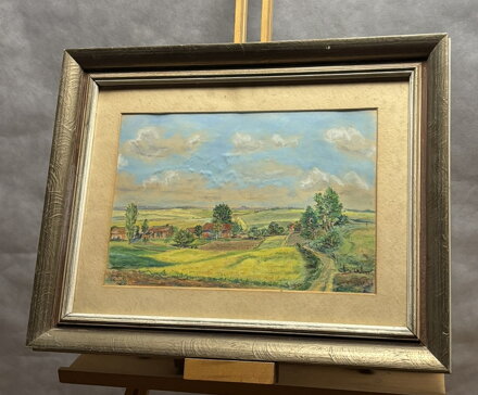 PAPOUŠEK OPOUŠTÍ HOŘÍCÍ DEŠTNÝ PRALES - FORMÁNEK JIŘÍ