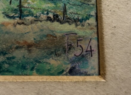 PAPOUŠEK OPOUŠTÍ HOŘÍCÍ DEŠTNÝ PRALES - FORMÁNEK JIŘÍ