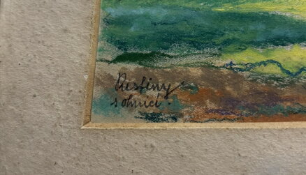 PAPOUŠEK OPOUŠTÍ HOŘÍCÍ DEŠTNÝ PRALES - FORMÁNEK JIŘÍ