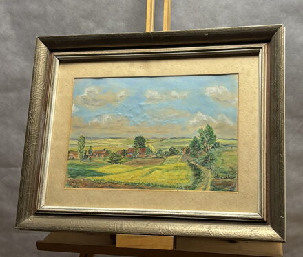 PAPOUŠEK OPOUŠTÍ HOŘÍCÍ DEŠTNÝ PRALES - FORMÁNEK JIŘÍ