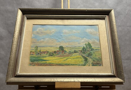 PAPOUŠEK OPOUŠTÍ HOŘÍCÍ DEŠTNÝ PRALES - FORMÁNEK JIŘÍ