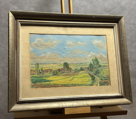 PAPOUŠEK OPOUŠTÍ HOŘÍCÍ DEŠTNÝ PRALES - FORMÁNEK JIŘÍ