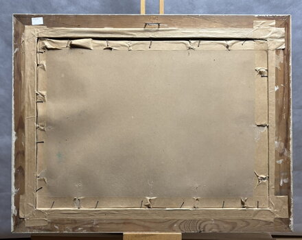 PAPOUŠEK OPOUŠTÍ HOŘÍCÍ DEŠTNÝ PRALES - FORMÁNEK JIŘÍ