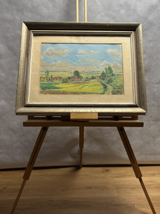 PAPOUŠEK OPOUŠTÍ HOŘÍCÍ DEŠTNÝ PRALES - FORMÁNEK JIŘÍ