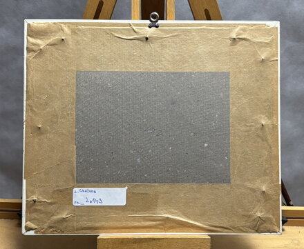 HAUSBOATY NA VLTAVĚ - CHADIMA JIŘÍ