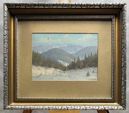 ZIMA V HORÁCH - HAJDUČEK ADOLF