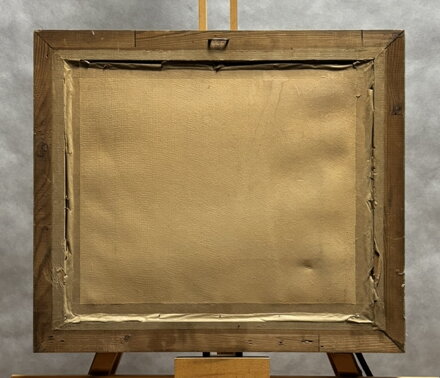 ZIMA V HORÁCH - HAJDUČEK ADOLF