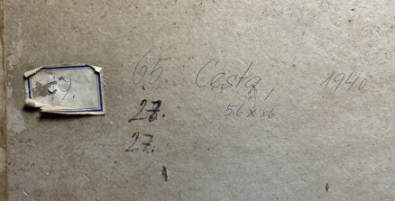 CESTA - HAŠEK JOSEF