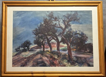 STROMY U CESTY - HAŠEK JOSEF