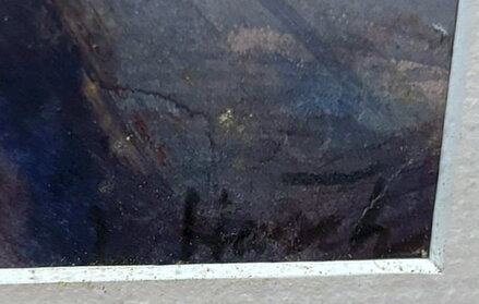 STROMY U CESTY - HAŠEK JOSEF